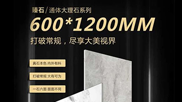 主流規格，科學比例，墻地皆宜——一圖看懂600×1200mm系列