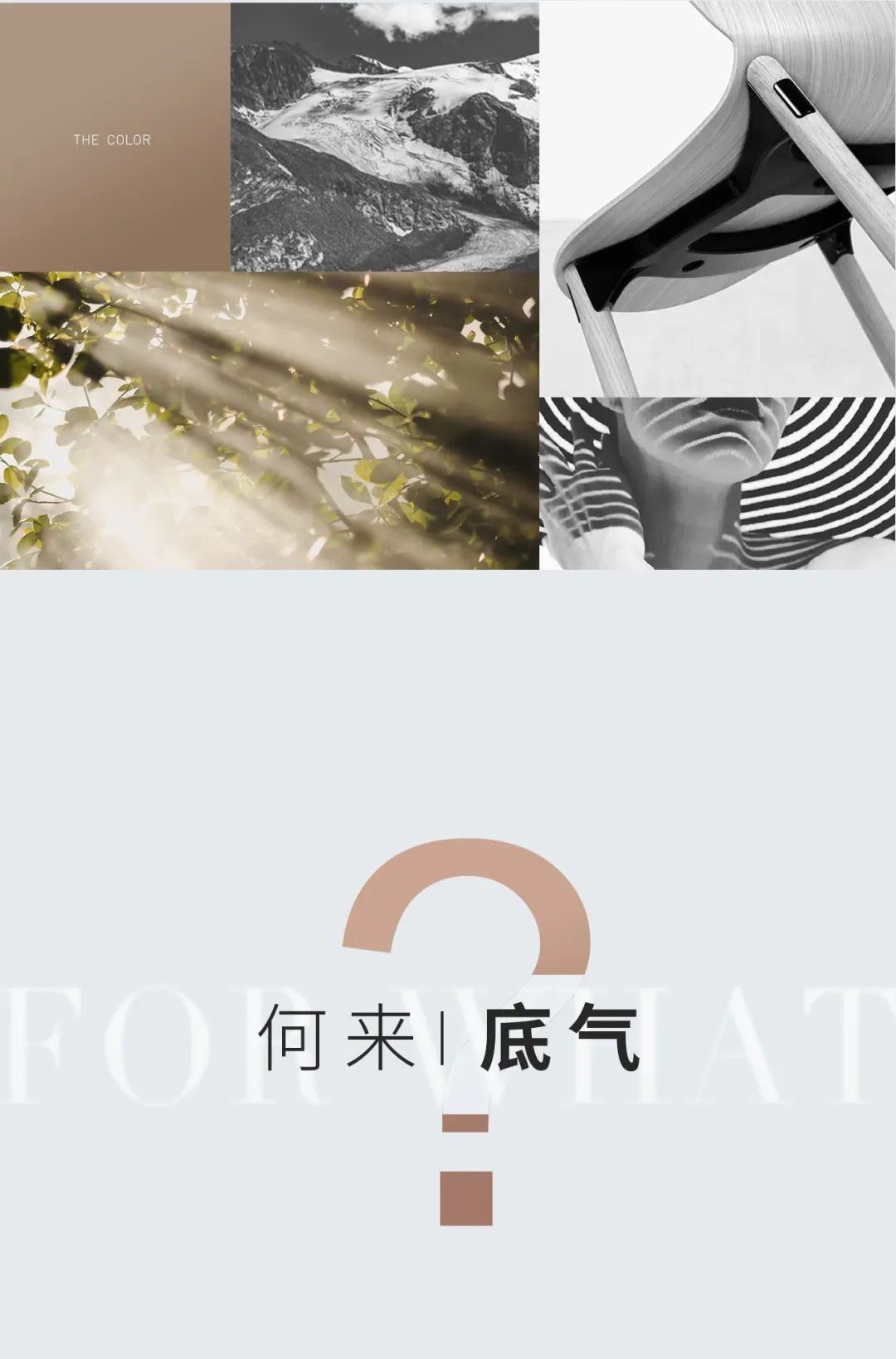 29°柔光 | 因為熱愛 ， 所以堅持(圖4)
